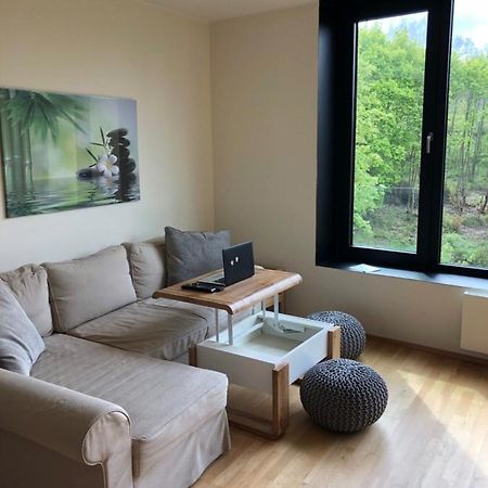 Triplex Residence, Lux-Appartment In The Central Part Κάρλοβι Βάρι Εξωτερικό φωτογραφία